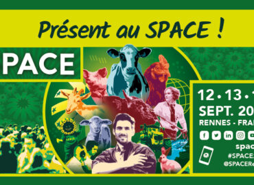 King Tree sera présent au SPACE à Rennes !